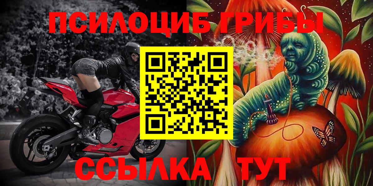 Галлюциногенные грибы мицелий Краснознаменск